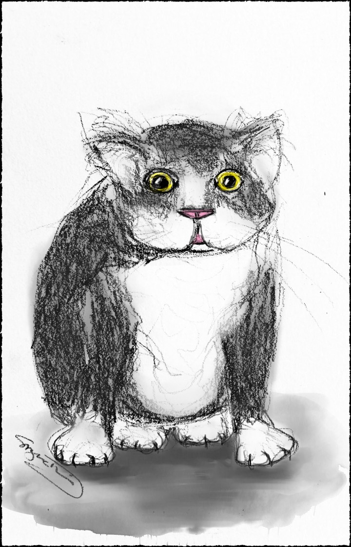 Mr Woods sketch painted