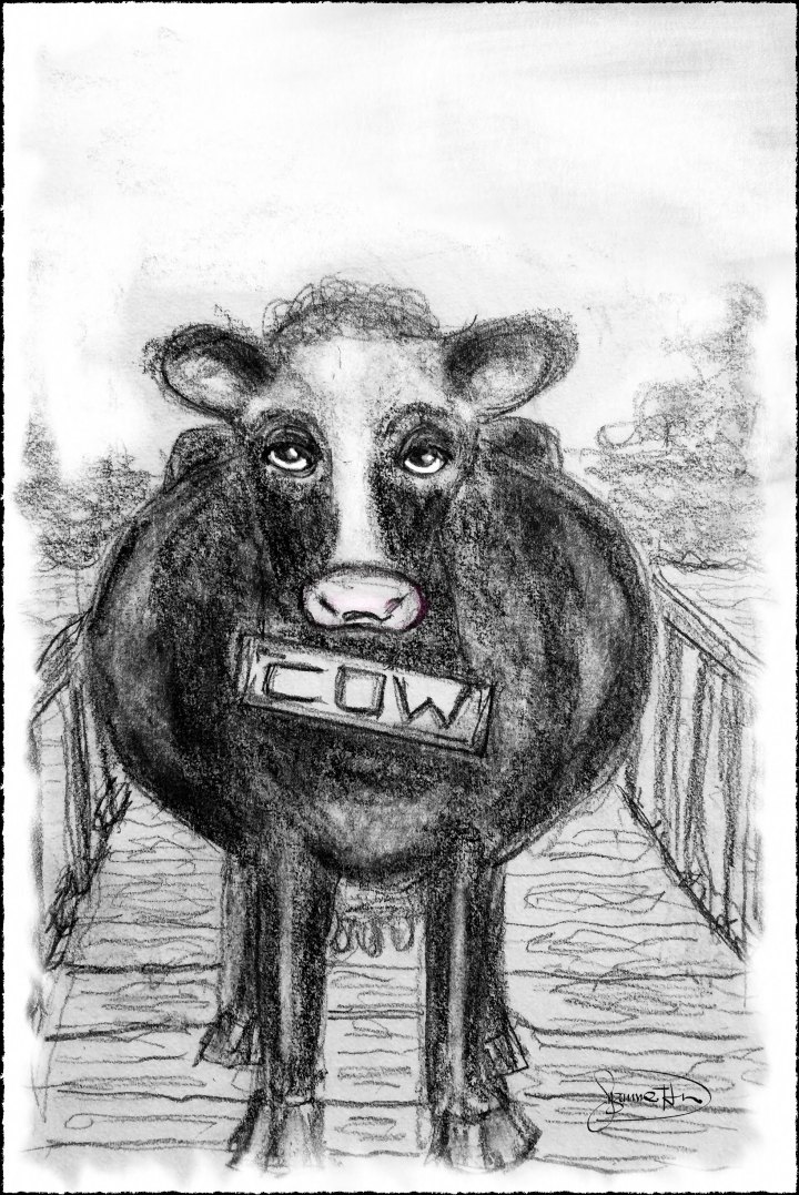 cow2-4