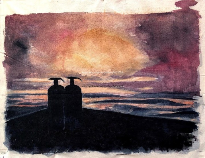 evening-landscape-with-2-sanitisers-2-crop-ccresizerimage1290x967-copy-copy-1
