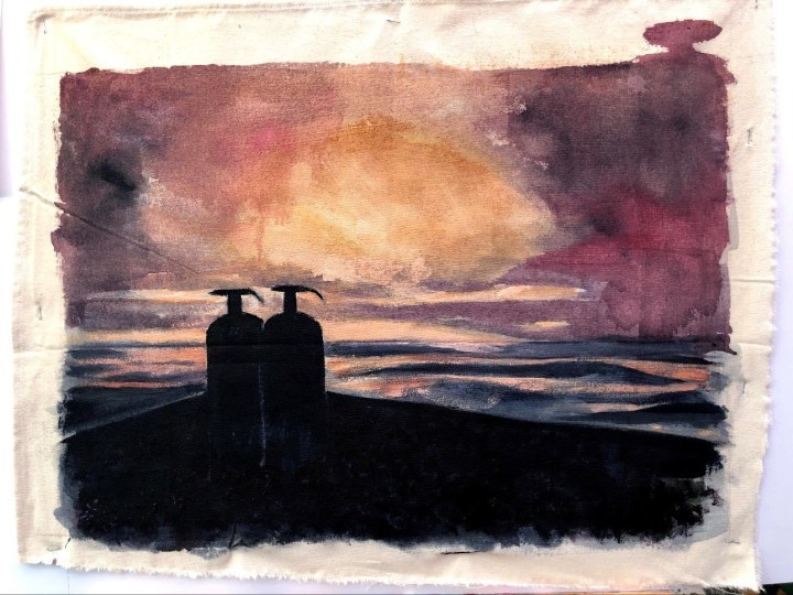 evening-landscape-with-2-sanitisers-2resizerimage1290x967