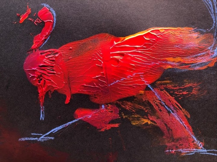 bird-2resizerimage927x695-1