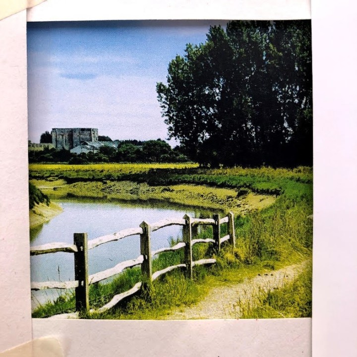 square-landscaperesizerimage786x786