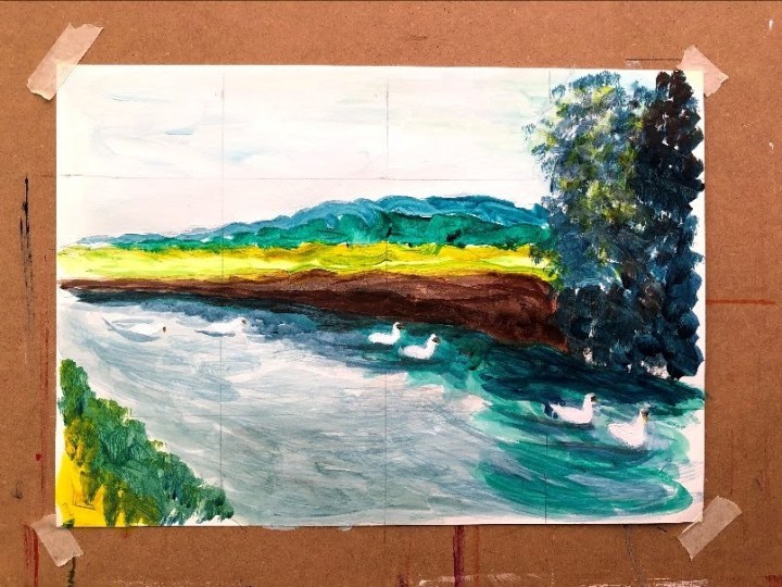 gridded-swansresizerimage806x604