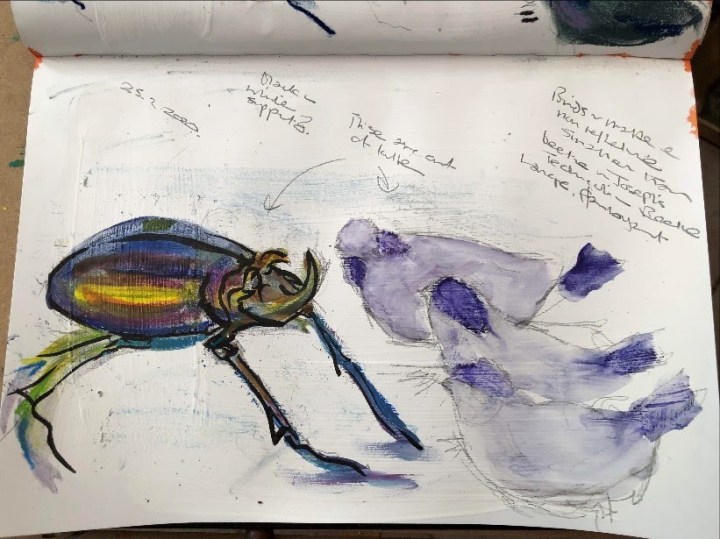 bird-beetle-2resizerimage821x615