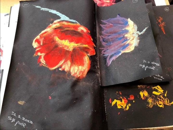 poppy-1resizerimage725x543