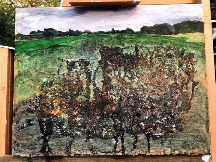 outdoor-landscape-v2resizerimage1048x786