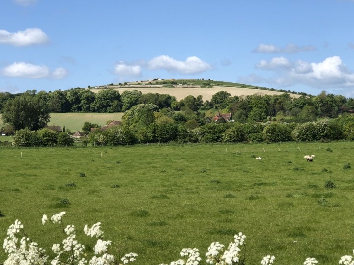 tin pots hill ResizerImage1048X786