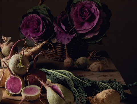 Tavormina radishesResizerImage481X365